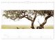 Thumbnail-12