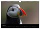 Thumbnail-12