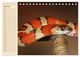 Thumbnail-11