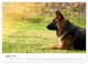 Thumbnail-12