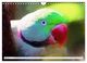 Thumbnail-12
