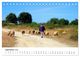 Thumbnail-11