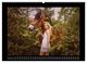 Thumbnail-12