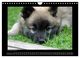 Thumbnail-14