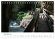 Thumbnail-13