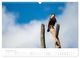 Thumbnail-14