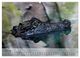 Thumbnail-12