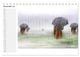 Thumbnail-13