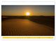 Thumbnail-11