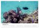 Thumbnail-14