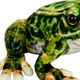 Thumbnail-2