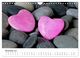 Thumbnail-13