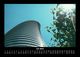 Thumbnail-11