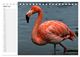 Thumbnail-9