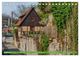 Thumbnail-2