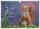Thumbnail-8