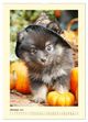 Thumbnail-12