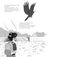 Thumbnail-10