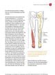 Thumbnail-13