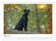 Thumbnail-9