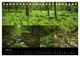 Thumbnail-11