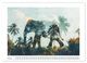 Thumbnail-11