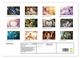 Thumbnail-9