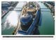 Thumbnail-11