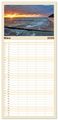 Thumbnail-9