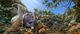Thumbnail-9