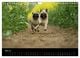 Thumbnail-10