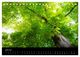 Thumbnail-8