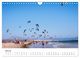 Thumbnail-12