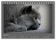 Thumbnail-10