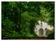 Thumbnail-12