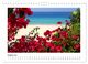Thumbnail-10