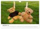 Thumbnail-14