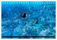 Thumbnail-12