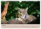 Thumbnail-10