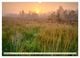 Thumbnail-10