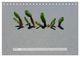 Thumbnail-8