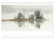 Thumbnail-13