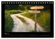 Thumbnail-10