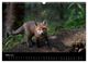 Thumbnail-8