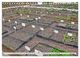 Thumbnail-13