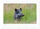 Thumbnail-10