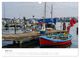 Thumbnail-8