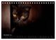 Thumbnail-13