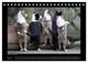 Thumbnail-7