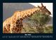 Thumbnail-9